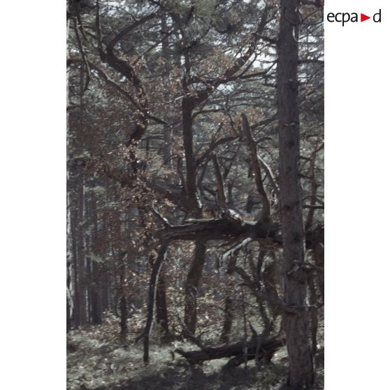 Curlu, abbaye de Triors (26), fort de Feyzin (69). [légende d'origine]