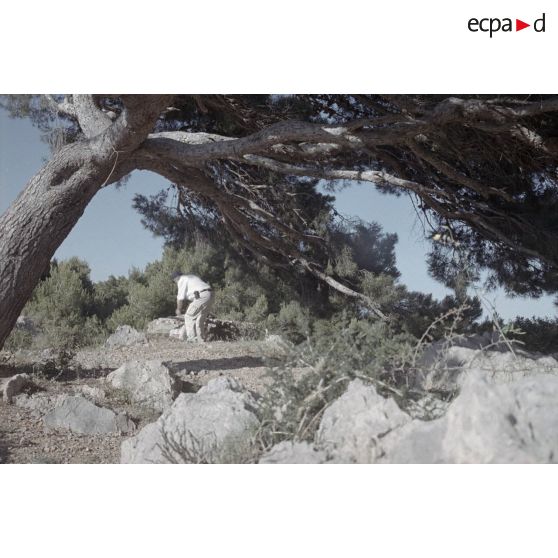 Fin Salses et suite voyage à Perpignan par cathédrale de Bourges. [légende d'origine]