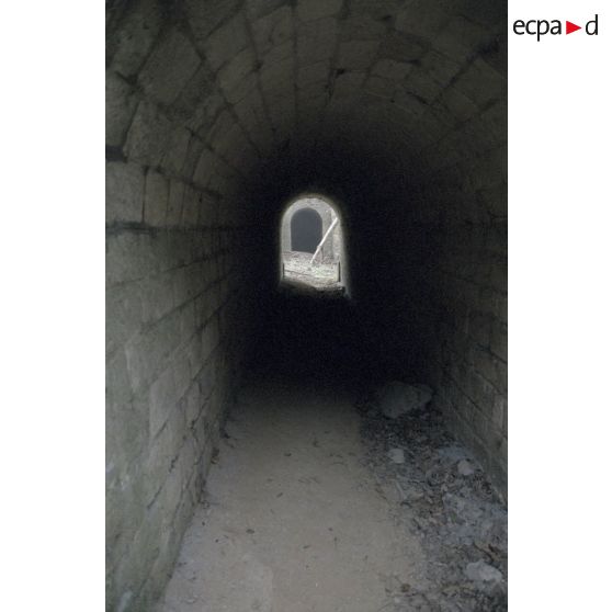 Fort de Domont. [légende d'origine]