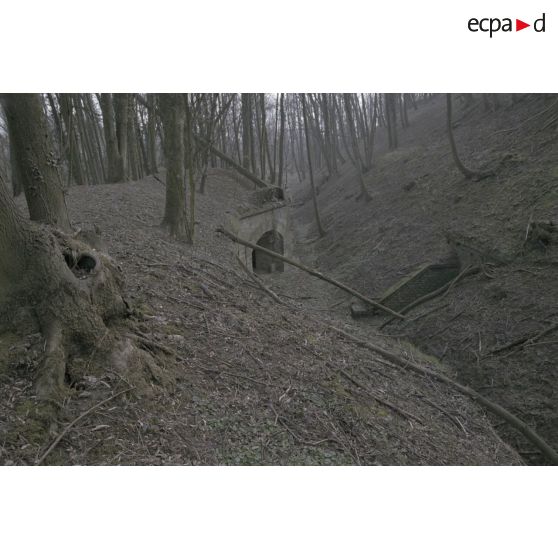 Fort de Domont. [légende d'origine]