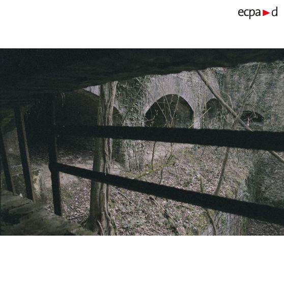 Fort de Domont. [légende d'origine]