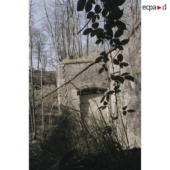 Fort de Domont. [légende d'origine]