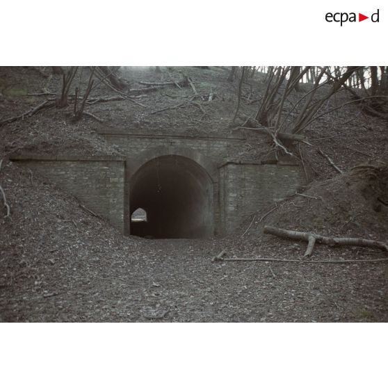 Fort de Domont. [légende d'origine]