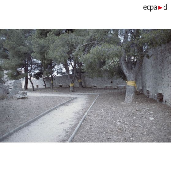 Toulon : fort Sainte-Catherine. [légende d'origine]