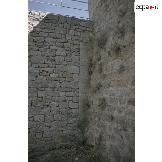 Toulon : fort des Pomets. [légende d'origine]