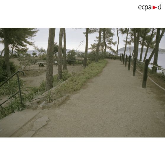 Toulon : fort Balaguier. [légende d'origine]