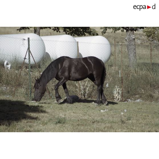 Mont Dauphin, Pré Sabens haut, vallée du Rabioux, Guillestre, Tournoux haut. [légende d'origine]