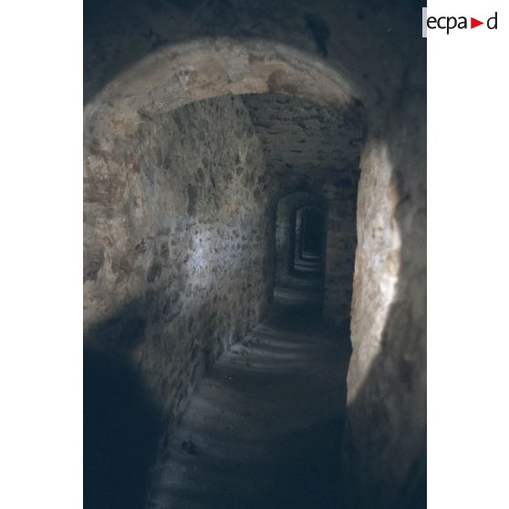 Batterie de la Pointe à Palaiseau. [légende d'origine]