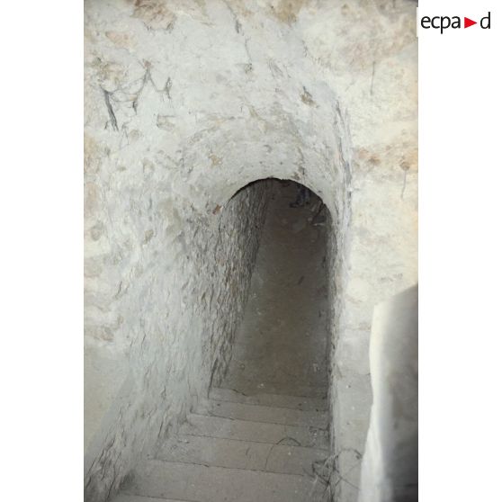 Batterie de la Pointe à Palaiseau. [légende d'origine]