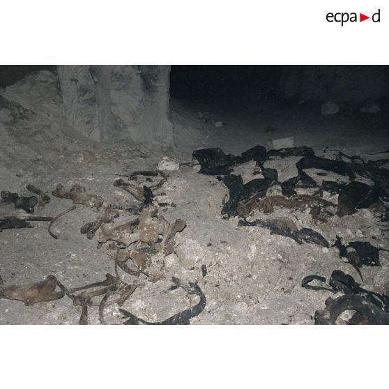 Fort de Condé, carrière de Froidmont, sortie chorale. [légende d'origine]