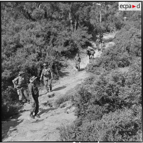 Progression dans le nord-constantinois du 3/51e RI (régiment d'infanterie).