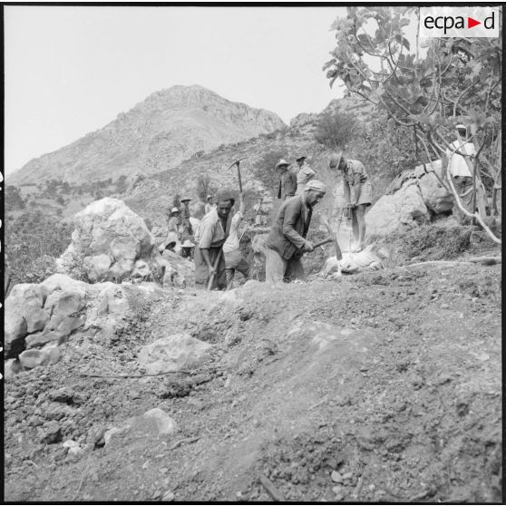 Ouverture de route dans le djebel par des civils algériens et la 2e DIM (2e division d'infanterie motorisée).