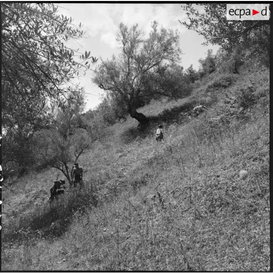 Progression dans le djebel de la 4e batterie du 8e RA (régiment d'artillerie) en opération en Kabylie.