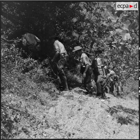 Progression dans le djebel de la 4e batterie du 8e RA (régiment d'artillerie) en opération en Kabylie.