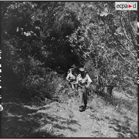 Progression dans le djebel de la 4e batterie du 8e RA (régiment d'artillerie) en opération en Kabylie.