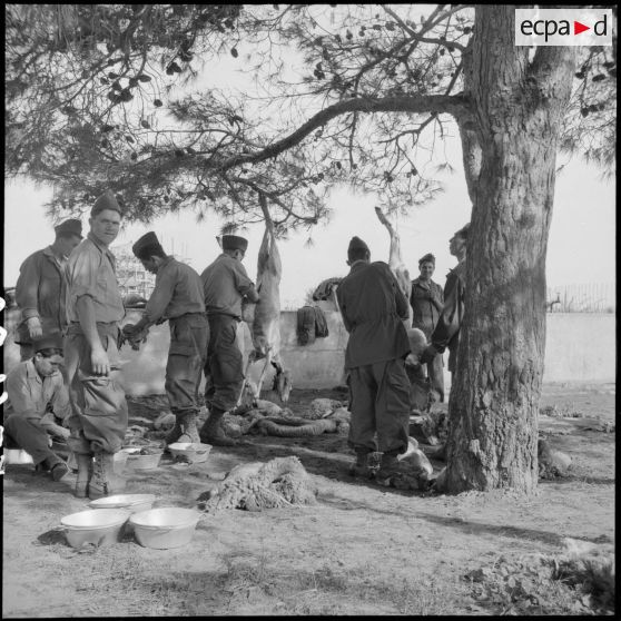 Hussein Dey. Camp du Lido. Les réservistes fêtent le Mouloud. Préparation des moutons pour le méchoui.