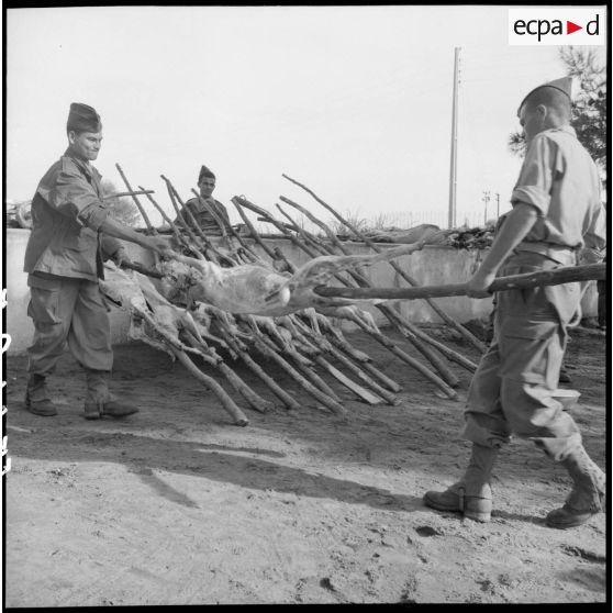 Hussein Dey. Camp du Lido. Les réservistes fêtent le Mouloud. Préparation des moutons pour le méchoui.