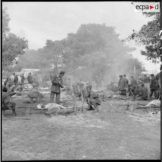 Hussein Dey. Camp du Lido. Les réservistes fêtent le Mouloud. Préparation des moutons pour le méchoui.