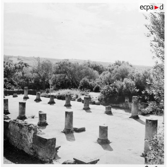 Visite des ruines romaines de Tipaza par les élèves du stage Guerre psychologique.