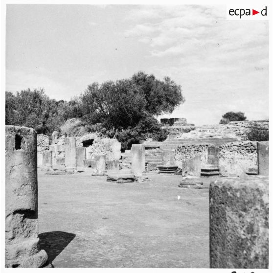 Visite des ruines romaines de Tipaza par les élèves du stage Guerre psychologique.