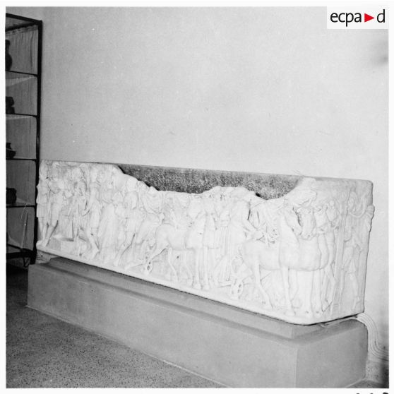 Visite des ruines romaines de Tipaza par les élèves du stage Guerre psychologique.