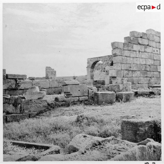 Visite des ruines romaines de Tipaza par les élèves du stage Guerre psychologique.