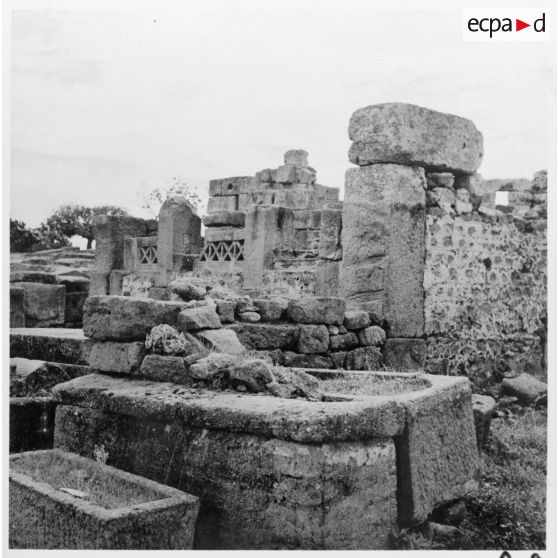 Visite des ruines romaines de Tipaza par les élèves du stage Guerre psychologique.
