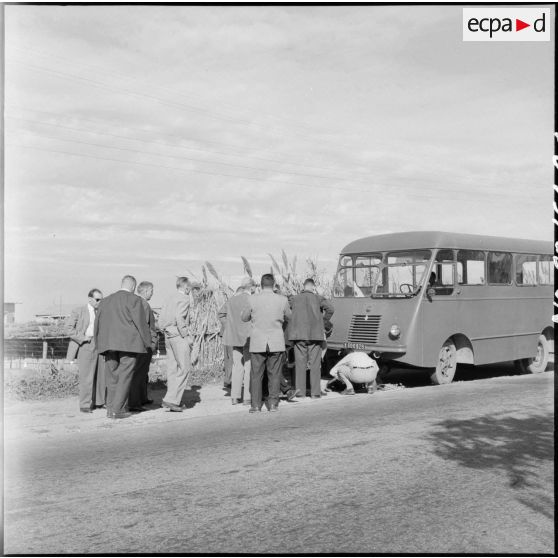 Visite des ruines romaines de Tipaza par les élèves du stage Guerre psychologique.