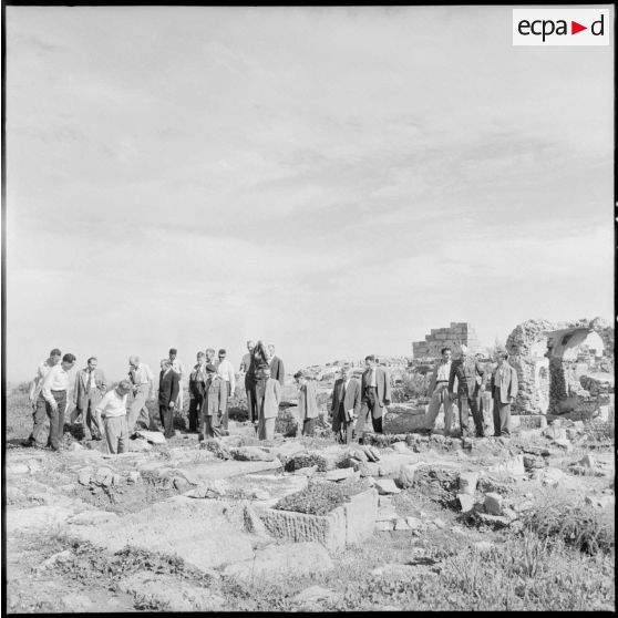 Visite des ruines romaines de Tipaza par les élèves du stage Guerre psychologique.
