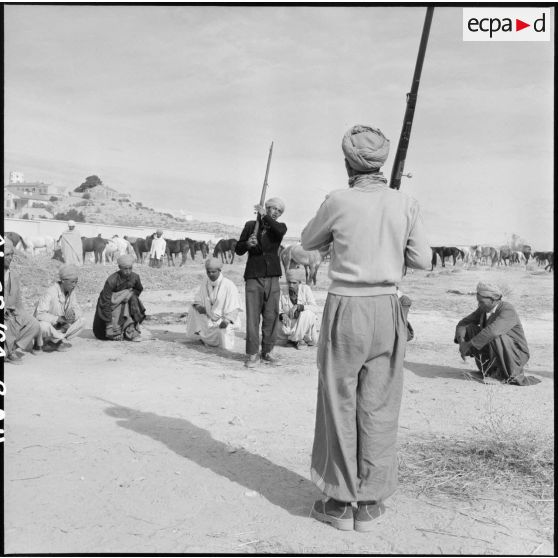 Entraînement au présentez-armes dans les harkas d'Oranie.