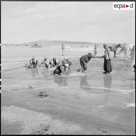 Corvée de lessive dans une harka d'Oranie.