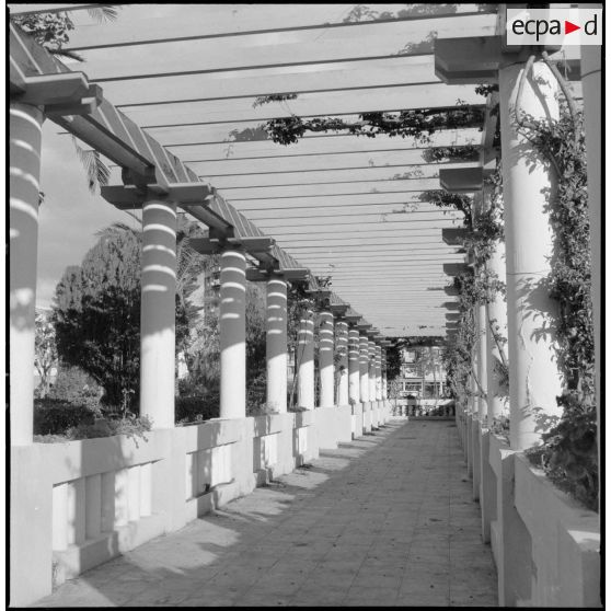 Vue d'une allée pavée bordée de colonnes dans les jardins de la villa Dar El Alia à Alger.