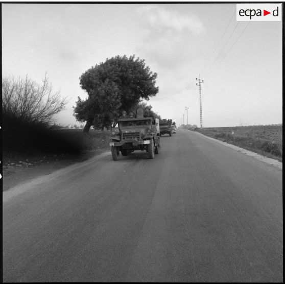 Convoi de véhicules légers Scout car M3A1 du 2e régiment de zouaves (RZ) rentrant au camp d'Arzew après un exercice.