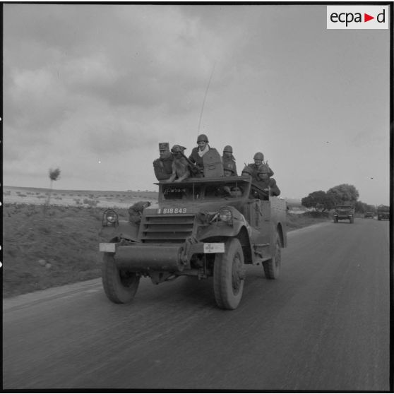 Convoi de véhicules légers Scout car M3A1 du 2e régiment de zouaves (RZ) rentrant au camp d'Arzew après un exercice.