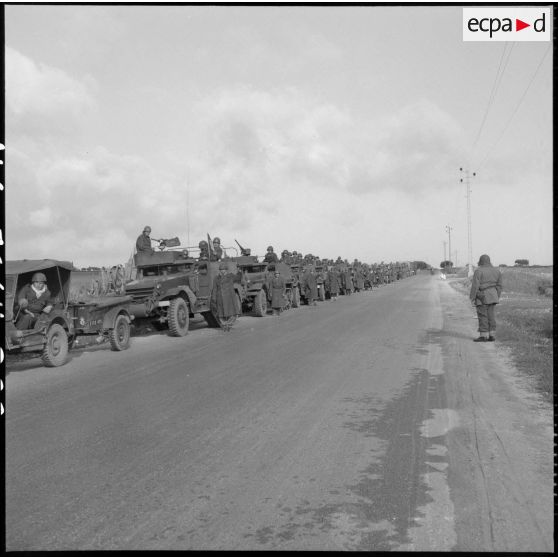 Convoi de véhicules légers Scout car M3A1 du 2e régiment de zouaves (RZ) rentrant au camp d'Arzew après un exercice.