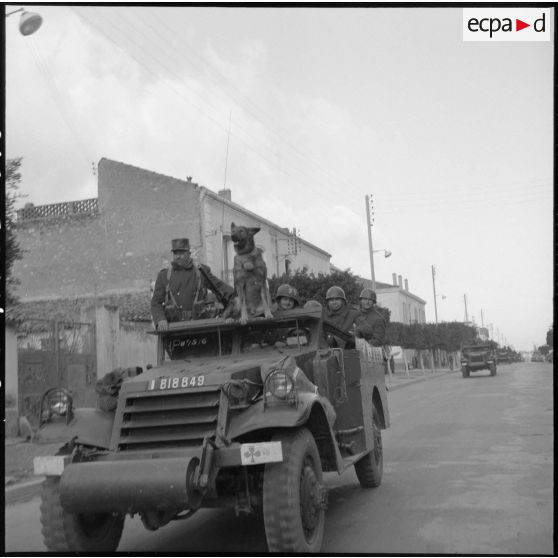 Convoi de véhicules légers Scout car M3A1 du 2e régiment de zouaves (RZ) rentrant au camp d'Arzew après un exercice.