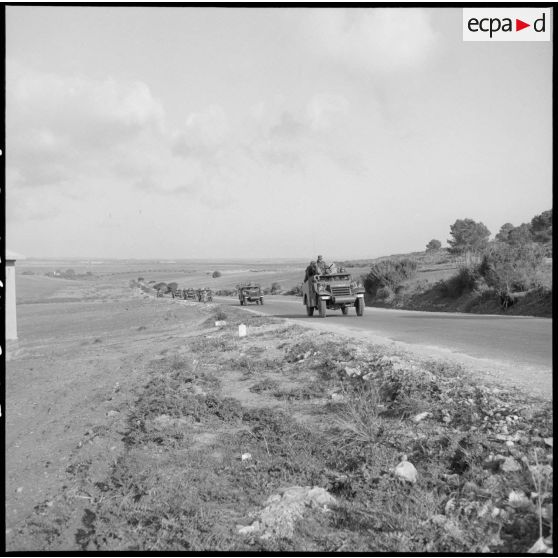 Convoi de véhicules légers Scout car M3A1 du 2e régiment de zouaves (RZ) rentrant au camp d'Arzew après un exercice.