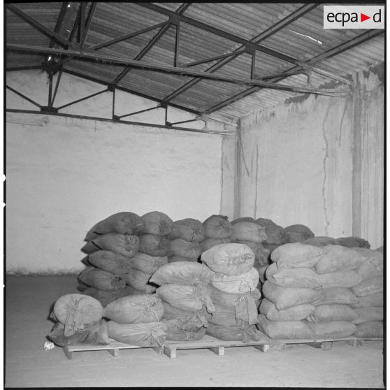Entrepôt de sacs de farine à la section des subsistances de l'Intendance de la Xe région militaire à Ouargla.