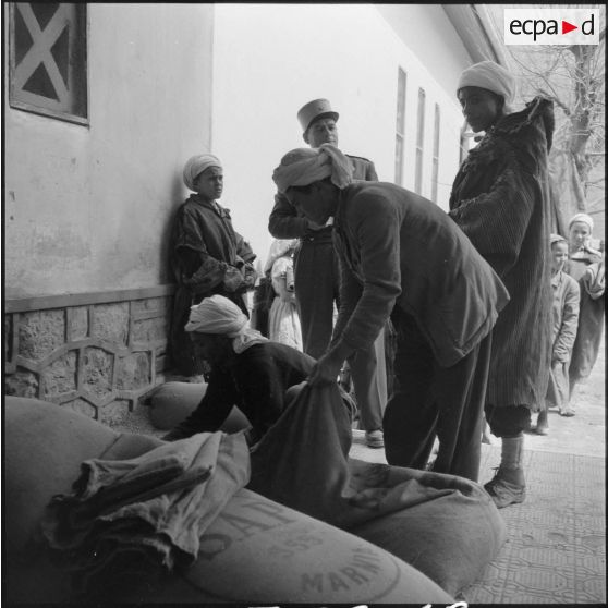 Distribution de blé auprès de la population de la Section administrative spécialisée (SAS) de Khemis.