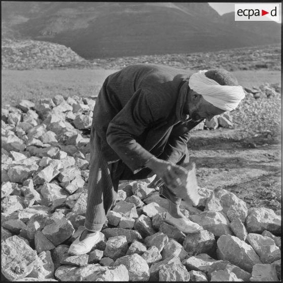 Travailleurs algériens sur un chantier de voirie dans la Section administrative spécialisée (SAS) de Khemis.