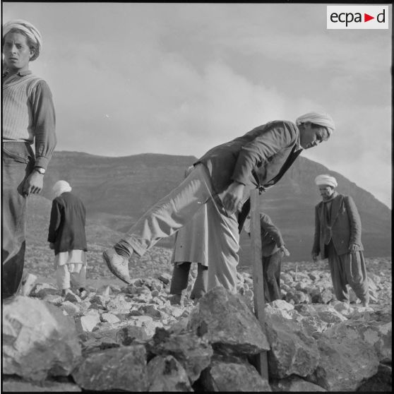 Travailleurs algériens sur un chantier de voirie dans la Section administrative spécialisée (SAS) de Khemis.