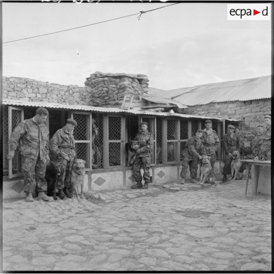 Soldats posant avec des chiens au chenil militaire du 1er régiment de chasseurs parachutistes (RCP) à Khenchela.