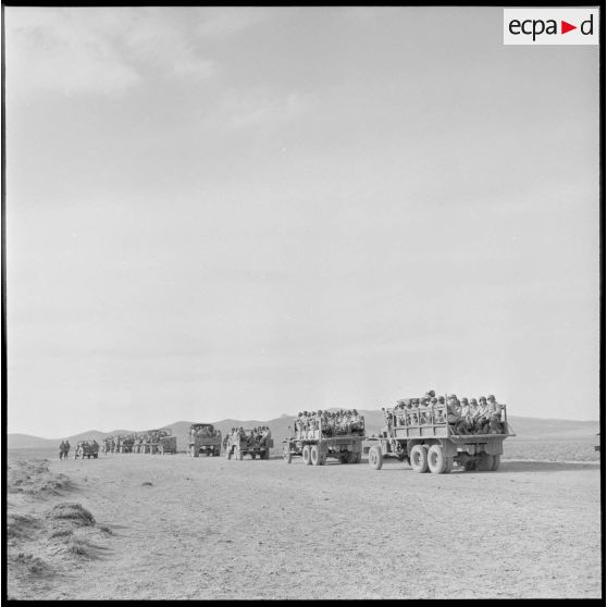 Arrivée de la colonne de renfort de véhicules GMC 6x6 lors d'une opération de ratissage du 1er régiment de chasseurs parachutistes (RCP) dans les Nementchas.