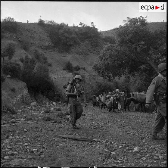 Progression à pied de légionnaires du 5e REI (régiment étranger d'infanterie) aux alentours de Nedroma.