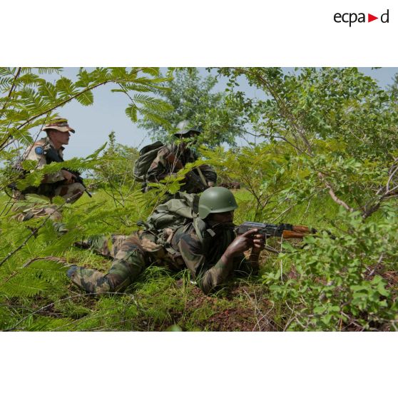 Un soldat malien sécurise le périmètre sous couvert des buissons lors d'un exercice à Koulikoro, au Mali.