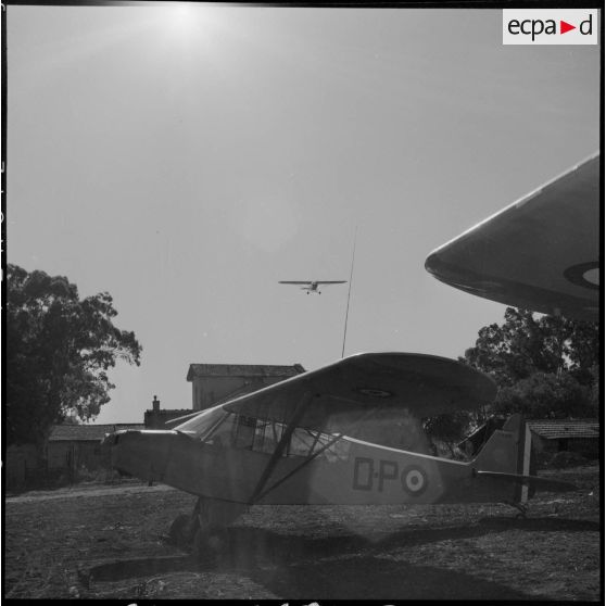 Retour d'un avion Piper L 18 C après une mission effectuée dans le djebel, dans la région de Bouïra.