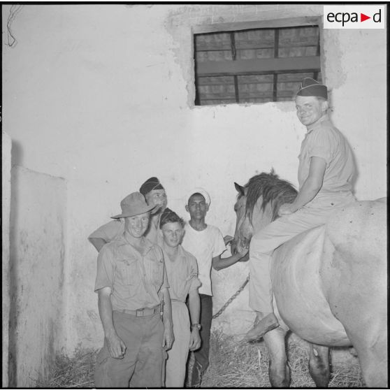 Des rappelés de la 20e DI dans l'écurie de la ferme Bastos.