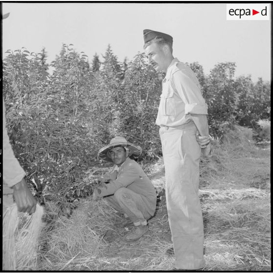 Un rappelé de la 20e DI en conversation avec un ouvrier de la ferme.