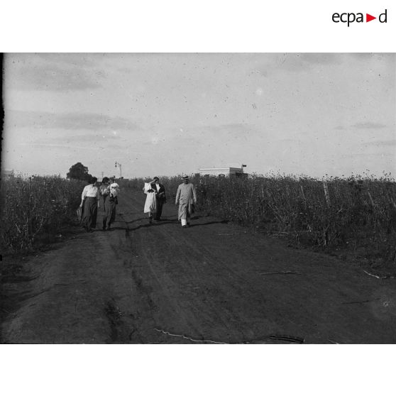 [Promenade sur un chemin de campagne.]