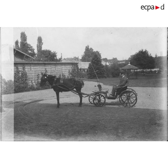 [Chauffeur de voiture hippomobile.]